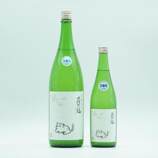 하기노츠루 준마이긴조 벳세코미나메긴슈 사쿠라네코