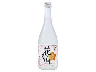 하나카호리 준마이긴조